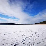 Zielona *